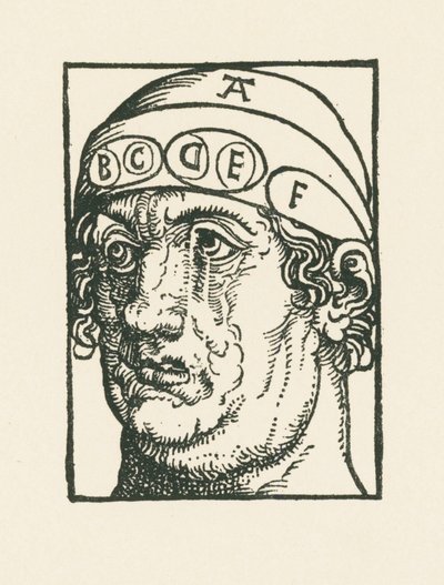 Caput pysicum - Fej a frenológia tanulmányozása céljából alkotó: Albrecht Dürer or Duerer