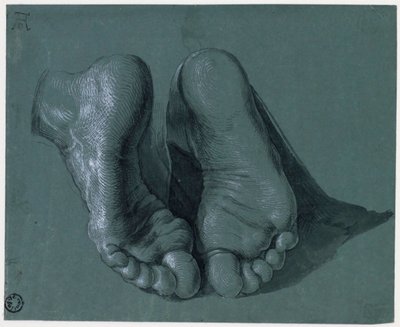 Etude de pieds - Tanulmány a két lábról - Albrecht Durer (1471-1528) rajza, Akvarell, fehér színű, fekete kréta papíron, c1508 (17,6x21,6 cm) - Boijmans Van Beuningen Múzeum, Rotterdam alkotó: Albrecht Dürer