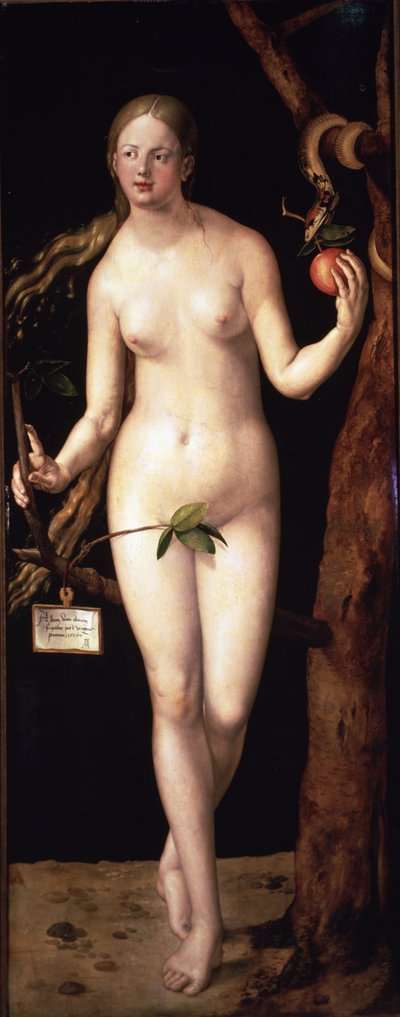  alkotó: Albrecht Dürer or Duerer
