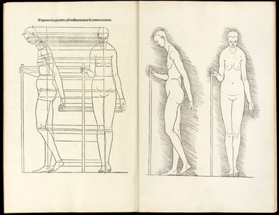 Nő bottal, anatómiai fametszet innen származó négy emberi arányú könyv, 1528 alkotó: Albrecht Dürer