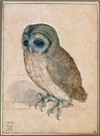 Kaeuzchen - A kis bagoly alkotó: Albrecht Dürer or Duerer