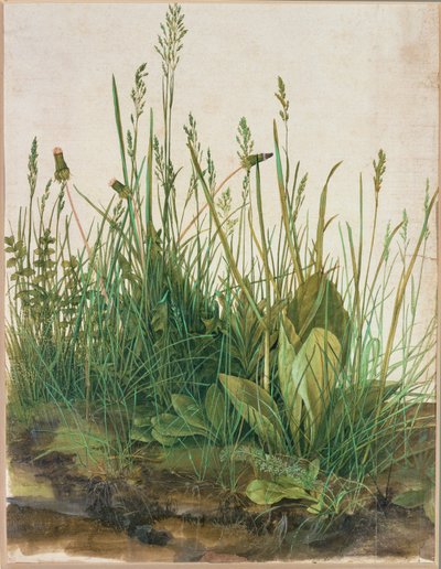 Nagy tőzegrög - Das grosse Rasenstueck alkotó: Albrecht Dürer or Duerer