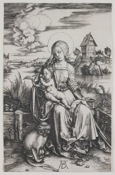 Madonna a majommal, 1498 körül (metszet) alkotó: Albrecht Dürer or Duerer