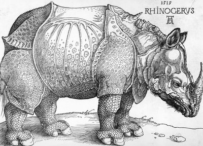 Orrszarvú alkotó: Albrecht Dürer