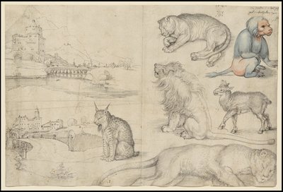 Vázlatok az állatokról és a tájakról, 1521 alkotó: Albrecht Dürer