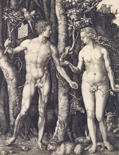Albrecht Durer: Az ember bukása alkotó: Albrecht Dürer