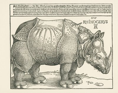 Az orrszarvú alkotó: Albrecht Dürer or Duerer