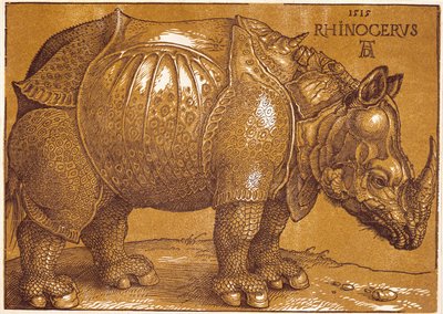 Az orrszarvú alkotó: Albrecht Dürer or Duerer