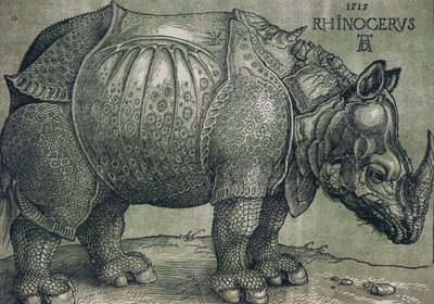 Az orrszarvú, 1515 alkotó: Albrecht Dürer