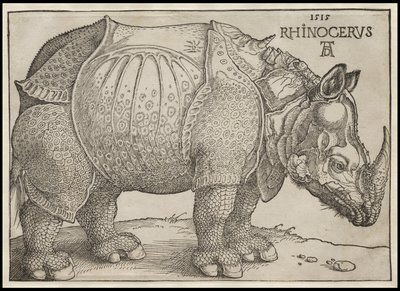 Az orrszarvú, 1515 alkotó: Albrecht Dürer