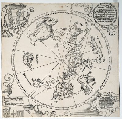 Ismeretlen kép alkotó: Albrecht Dürer