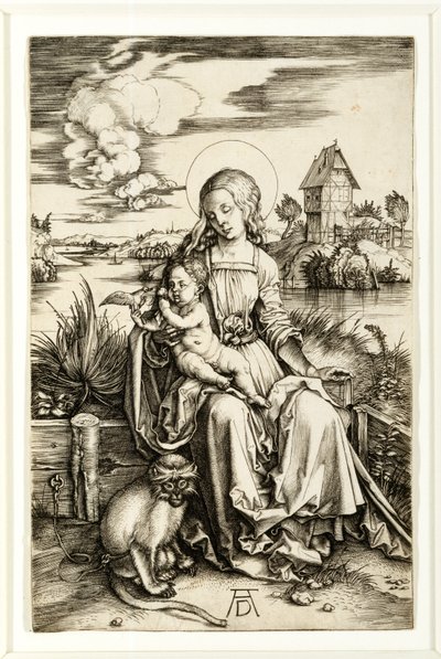 Szűz és gyermeke majommal alkotó: Albrecht Dürer