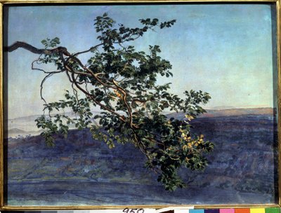 ""La branche"" Peinture de Alexander Ivanov (1806-1858) 1840-1850 Állami Tretyakov Galéria, Moszkva alkotó: Aleksandr Andreevich Ivanov