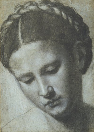 Egy női fej fonott hajjal (szén és fehér kréta a carta azzurán) alkotó: Alessandro Bonvicino Moretto