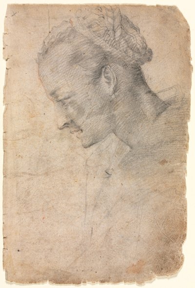 A női fej profilja (recto) alkotó: Alessandro Casolani