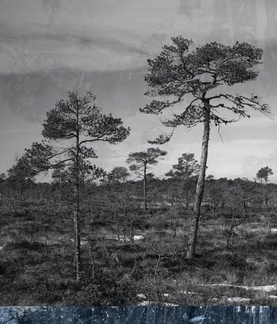 kék földalatti, 2019, (vegyes) alkotó: Alex Caminker