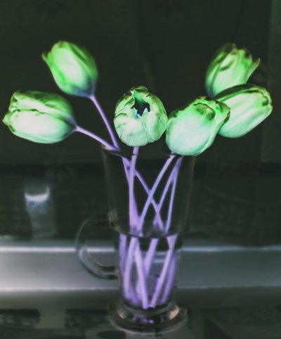 fénytörés, 2019, (fotomanipuláció) alkotó: Alex Caminker