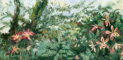 Élénk színű trópusi orchideák alkotó: Alex Cornell