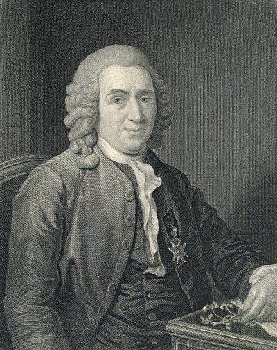 Carolus Linnaeus portréja alkotó: Alexander (after) Roslin