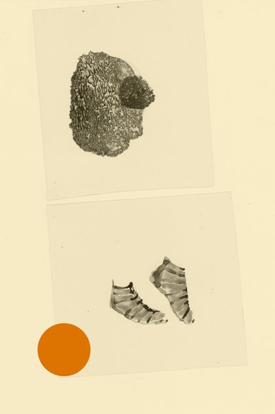 Főcsont alkotó: Alexander Adiels