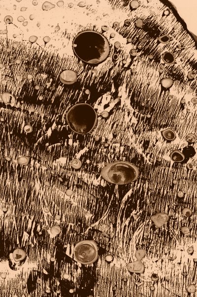 Oxigén alkotó: Alexander Adiels