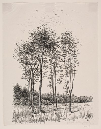 Rügyes bükkfák alkotó: Alexander Blom