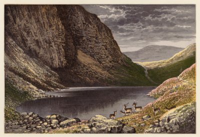 Skót Loch Scenery: Loch-na-gar (színes lithó) alkotó: Alexander Francis (after) Lydon