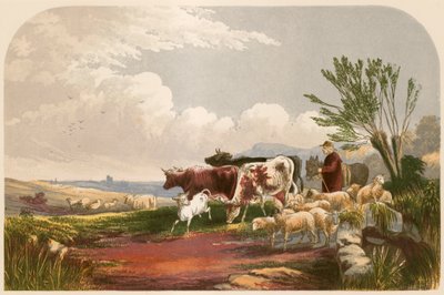 Illusztráció Goldsmith A kihalt falu című művéhez alkotó: Alexander Francis Lydon