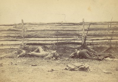 Kilátás a mezőn, a Hagerstown út nyugati oldalán, az antietami csata után, ..., 1862. alkotó: Alexander Gardner