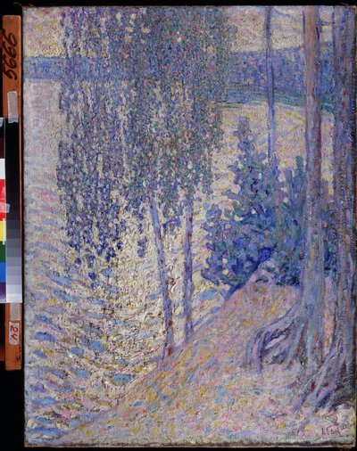 Alekszandr Fjodorovics Gaush (1873-1947) festménye: "A nyírfák" (Birches) 1910 körül Csuvas Köztársaság Állami Művészeti Múzeuma Cseboksári alkotó: Alexander Gaush