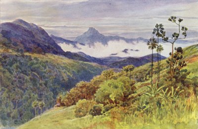 Reggeli ködök a Mahaweli Ganga völgyében (színes litó) alkotó: Alexander Henry Hallam Murray