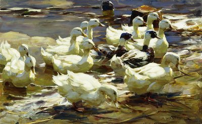 kacsák a tóban; kacsák a tóban alkotó: Alexander Koester