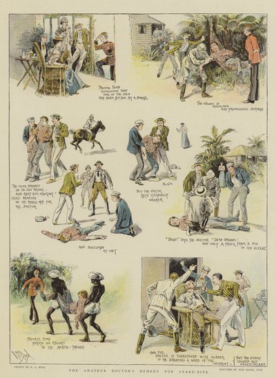 Az amatőr orvosok kígyómarás elleni gyógyszere (chromolitho) alkotó: Alexander Stuart Boyd