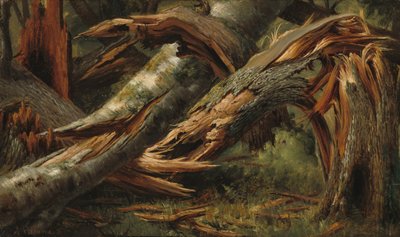 Kidőlt fa alkotó: Alexandre Calame