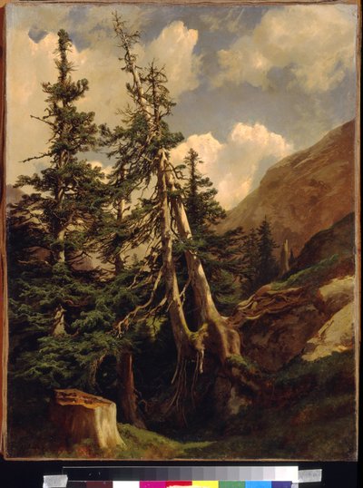 Fenyők a hegyekben, Calame, Alexandre (1810-1864). Olaj, vászon, Mérete: 68,5x53. Állami A. Puskin Szépművészeti Múzeum, Moszkva alkotó: Alexandre Calame