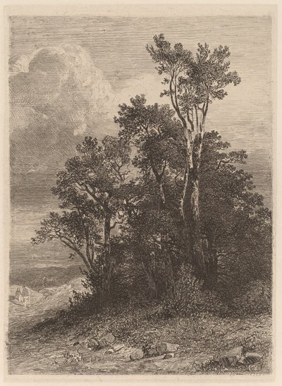 Fák ligete alkotó: Alexandre Calame