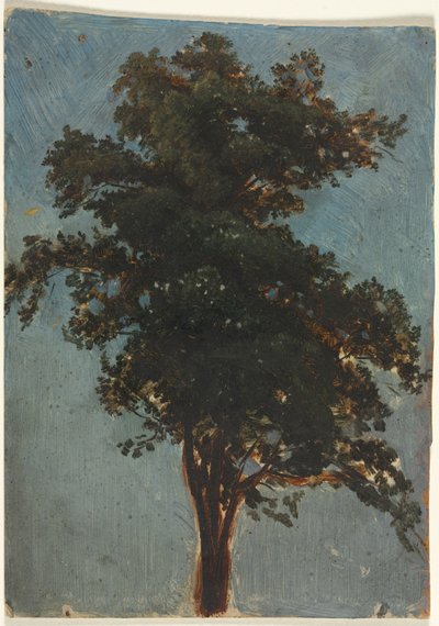  alkotó: Alexandre Calame
