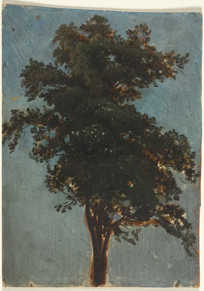 Fatanulmány, 1800-as évek második harmada. alkotó: Alexandre Calame