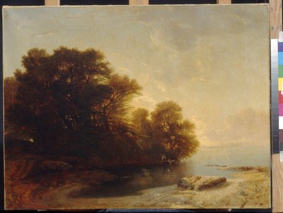 Fák a tónál, Calame, Alexandre (1810-1864). Olaj, vászon, Mérete: 62x81. Állami A. Puskin Szépművészeti Múzeum, Moszkva alkotó: Alexandre Calame