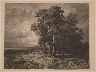 Fák viharban alkotó: Alexandre Calame