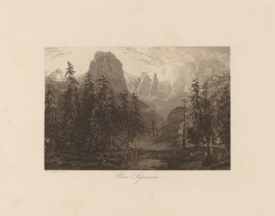 Egy fenyő alkotó: Alexandre Calame