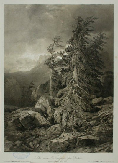 Cím nélkül alkotó: Alexandre Calame