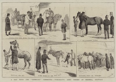 Egy nap a Remount Bizottsággal, a hadsereg lovainak megvásárlása Redhillben, Edgware-ben alkotó: Alfred Chantrey Corbould
