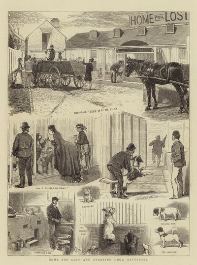 Elveszett és éhező kutyák otthona, Battersea alkotó: Alfred Chantrey Corbould