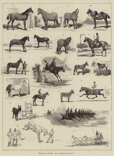 Lókiállítás Manchesterben alkotó: Alfred Chantrey Corbould