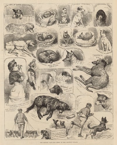 A Kennel Club kutyakiállítása a Crystal Palace-ban alkotó: Alfred Chantrey Corbould