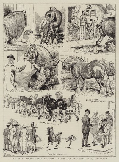 A Shire Horse Society kiállítása az Islington-i Mezőgazdasági Csarnokban alkotó: Alfred Chantrey Corbould