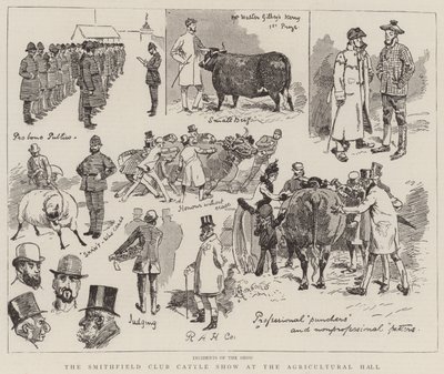 A Smithfield Club szarvasmarha bemutatója a mezőgazdasági csarnokban alkotó: Alfred Chantrey Corbould