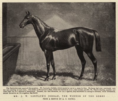 J W Larnachs Jeddah, a Derby győztese alkotó: Alfred Charles Havell