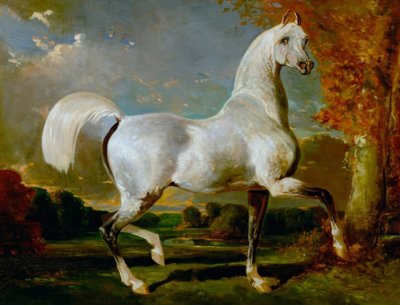 Arab mén alkotó: Alfred Dedreux